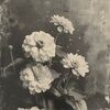 sophielove1937
